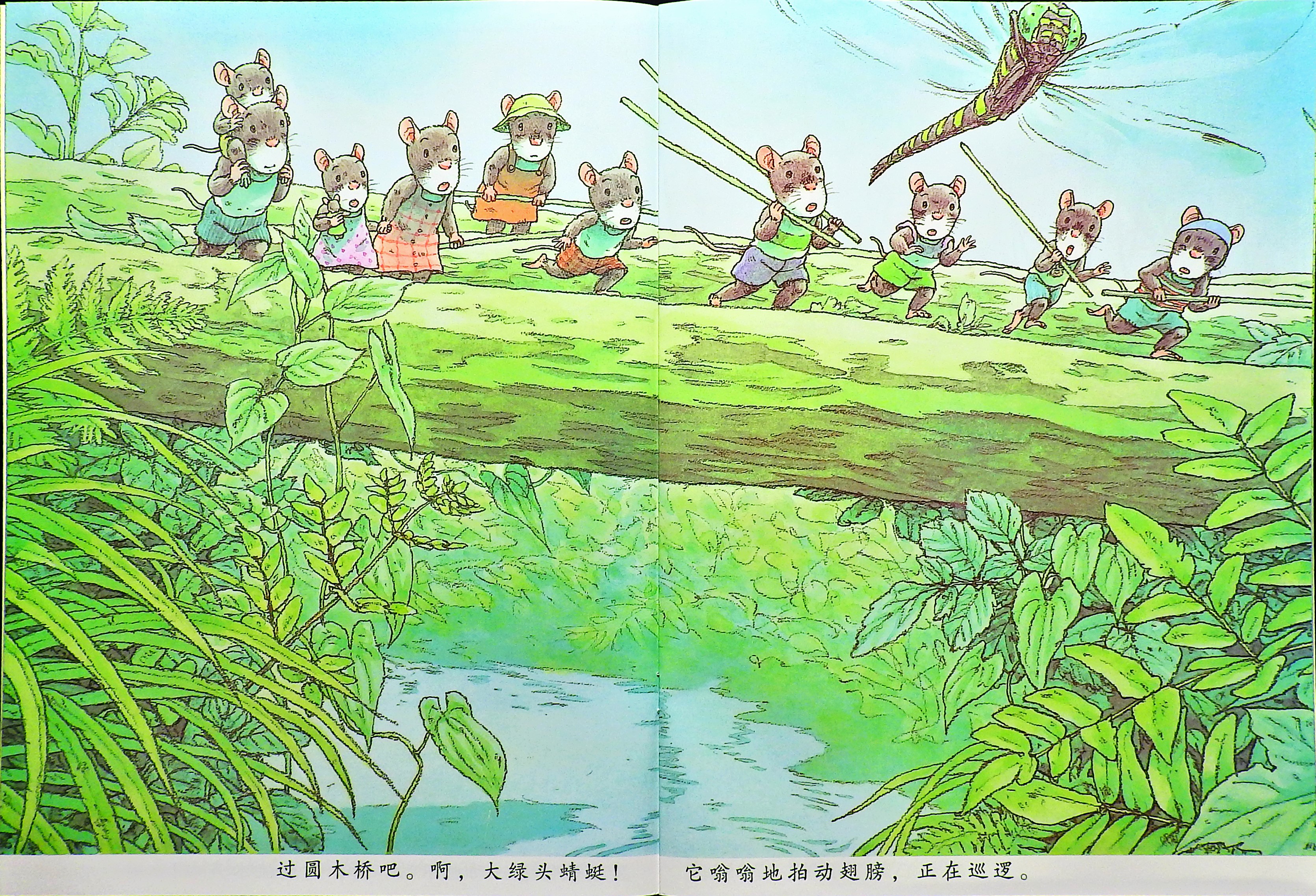 14只老鼠的蜻蜓池塘 (05),绘本,绘本故事,绘本阅读,故事书,童书,图画书,课外阅读